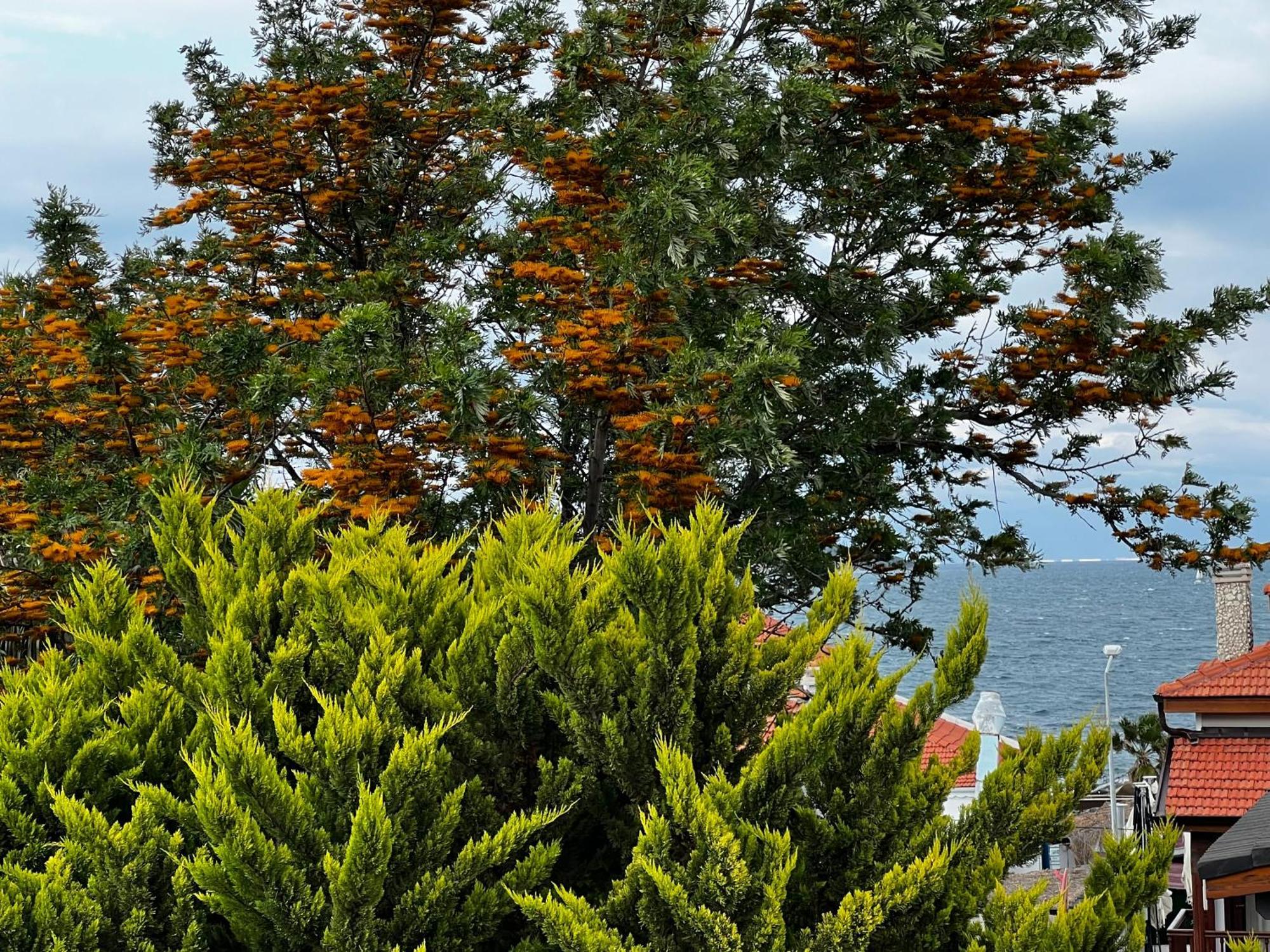 Ada Konak Otel Urla Luaran gambar